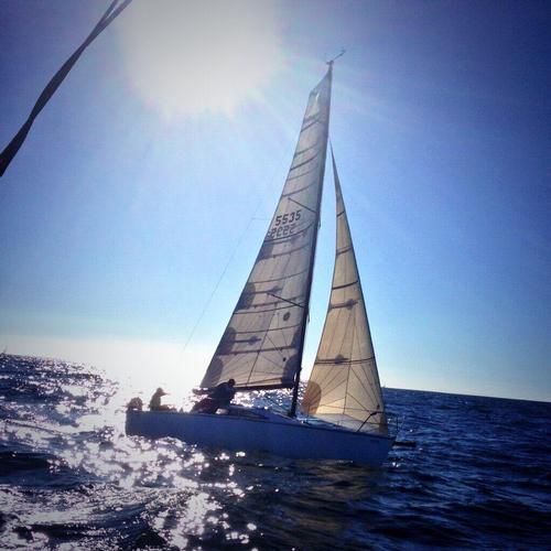 Gale Force takes a pic of Pepe as they play together during the race © Suellen Hurling